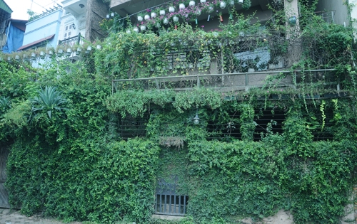 Ngôi nhà triệu đô phủ đầy chậu hoa ở Hồ Tây 1 Ngôi nhà triệu đô phủ đầy chậu hoa ở Hồ Tây 1