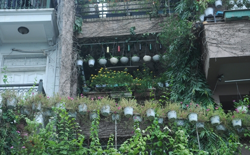 Ngôi nhà triệu đô phủ đầy chậu hoa ở Hồ Tây 3 Ngôi nhà triệu đô phủ đầy chậu hoa ở Hồ Tây 3