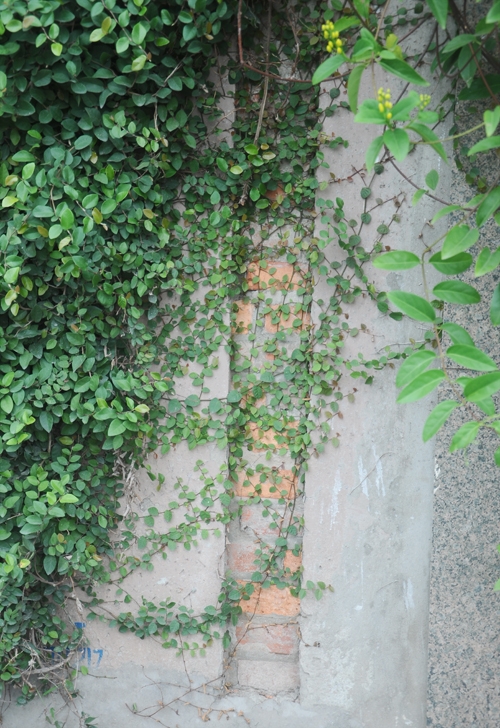 Ngôi nhà triệu đô phủ đầy chậu hoa ở Hồ Tây 8 Ngôi nhà triệu đô phủ đầy chậu hoa ở Hồ Tây 8