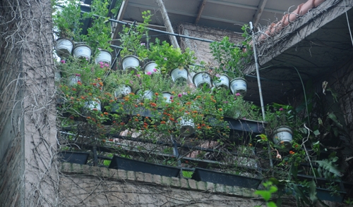 Ngôi nhà triệu đô phủ đầy chậu hoa ở Hồ Tây 9 Ngôi nhà triệu đô phủ đầy chậu hoa ở Hồ Tây 9